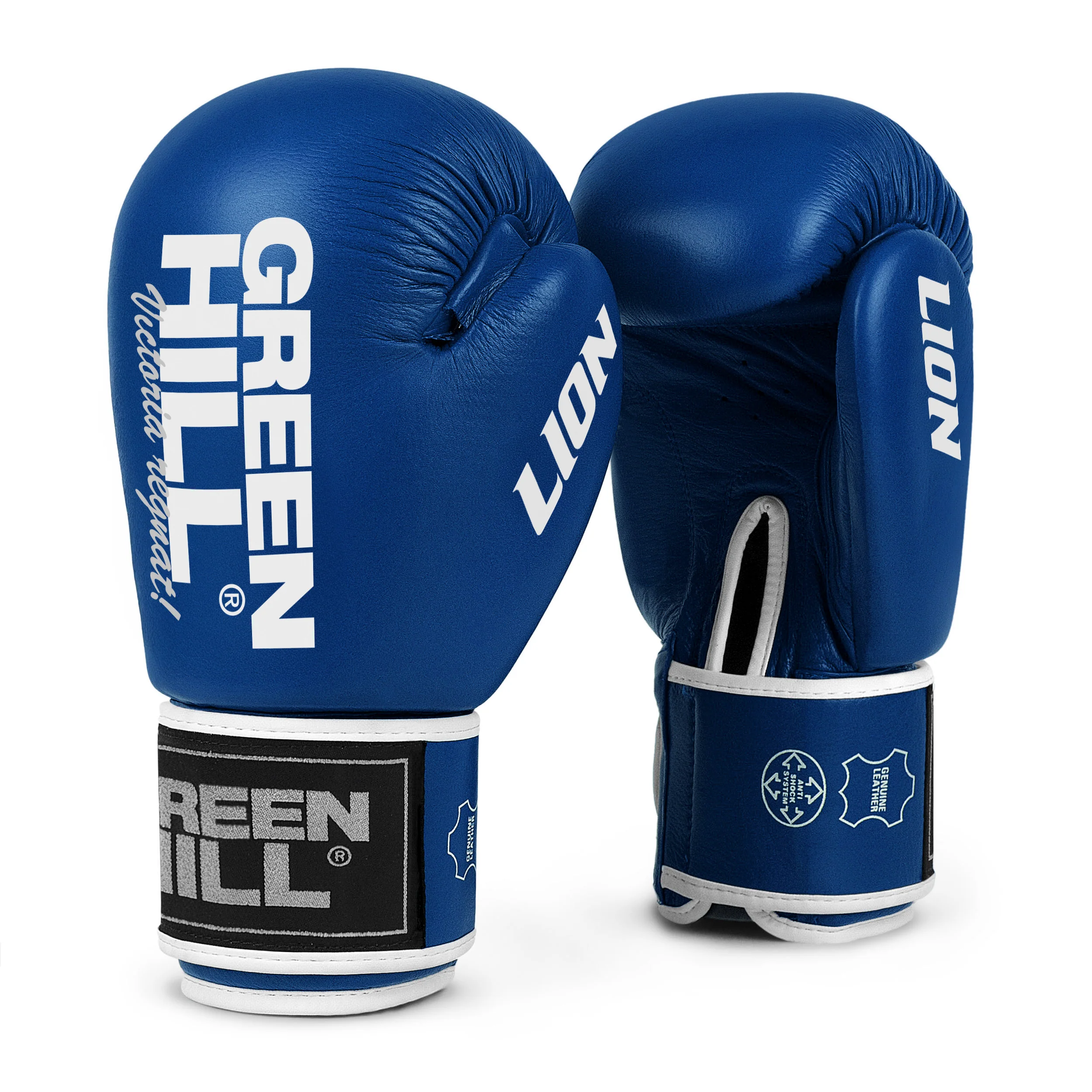 Lion (Tiger), guantoni da boxe